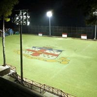 313876-302.jpg