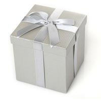 Silver Gift