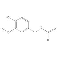 Capsaicinoids