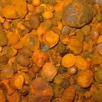 Ox Gallstone