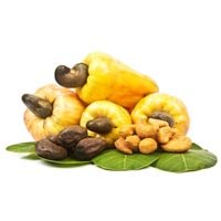 Cashew Apples