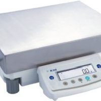 Silver Scale