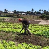 Farming Consultation Services
