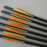 317487-1.jpg