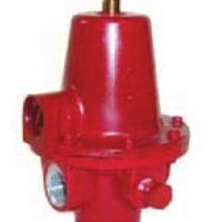 317566-100.jpg