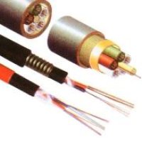 Cat5e Utp Cable
