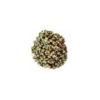 Gokhru Seeds