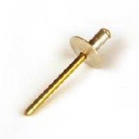 Round Head Rivet