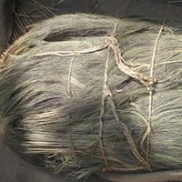 319731-1.jpg