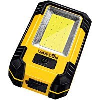 Portable LED Light