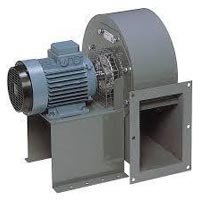 320372-197.jpg
