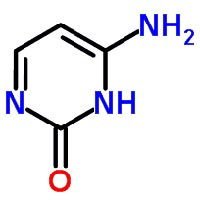 Nucleic Acids