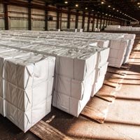 Bleached Hardwood Pulp