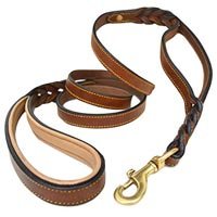 Leather Dog Leashes