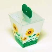 Printed PVC Boxes