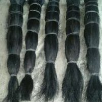 Animal Hair