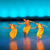 Live Show Organizing Services