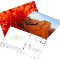 Postcard Paper