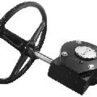 323869-933.jpg