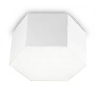 Ceiling Fixture