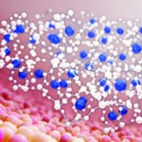 Chronic Diseases Treatment Services