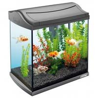 324597-1.jpg