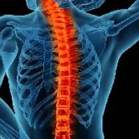 Spine Surgery Services