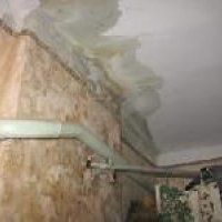 Wall Treatment Services