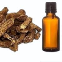 Costus Root Oil