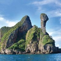 Island Tour Service