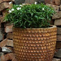 Outdoor Decor