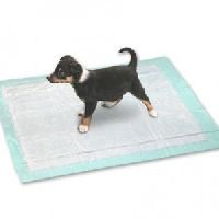 Training Pad