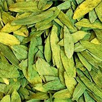 Senna Leaves T Cut