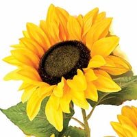 Artificial Sunflower