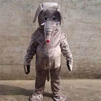 Cartoon Costumes