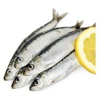 Frozen Sardine