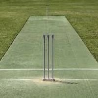 Artificial Cricket Pitch