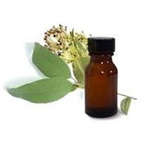 Myrtle Oil