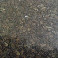 Black Pepper Husk