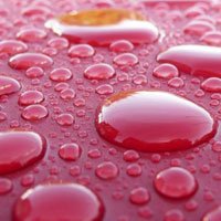 Wax Coatings