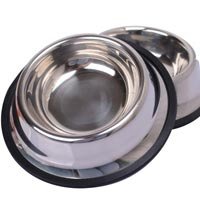 Stainless Steel PET Utensils
