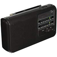 Portable FM Radio