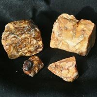 332808-415.jpg