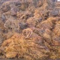Electric Wire Scrap