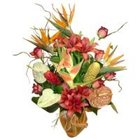 Tropical Flower