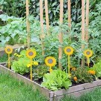 Garden Stakes
