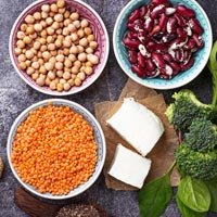 Vegetarian Protein