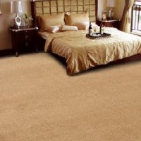 Carpet Flooring Service