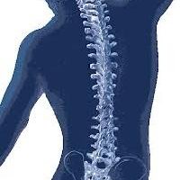 Spine Treatment