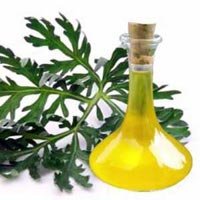 Artemisia Oil
